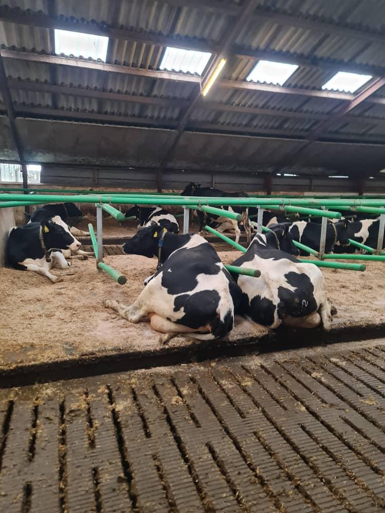 State of Animal Health Report